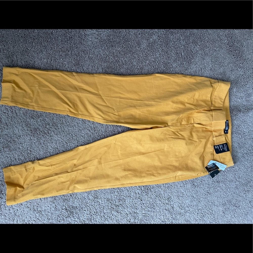 NWT capri dressy pants! Sz 12